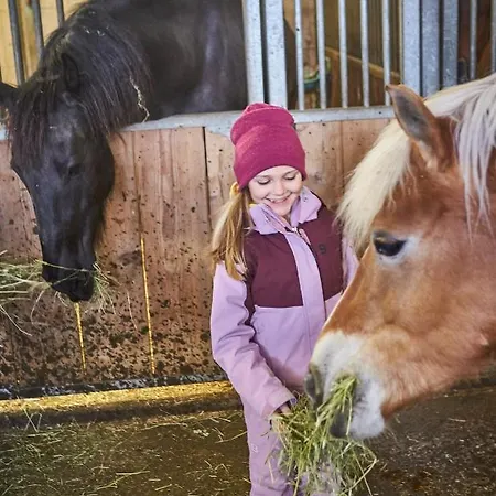 Bauernhof Oberschwarzach Hotel