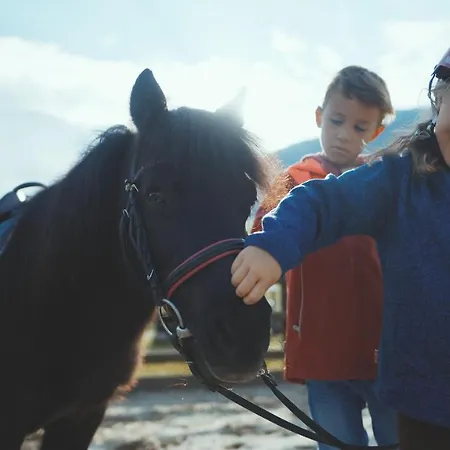 Bauernhof Oberschwarzach 4*