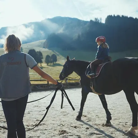 Bauernhof Oberschwarzach Hotel Saalbach-Hinterglemm