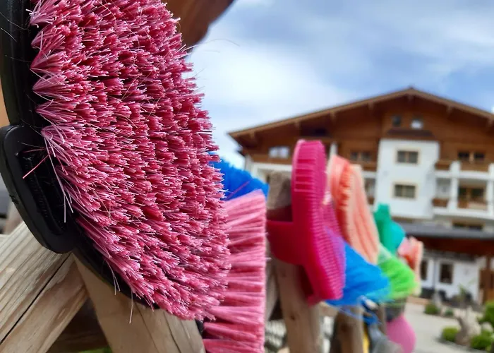 Hotel Bauernhof Oberschwarzach Saalbach-Hinterglemm