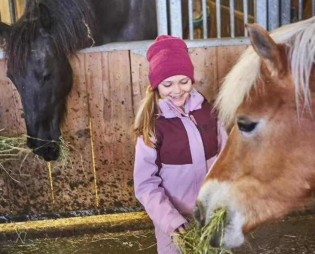 Bauernhof Oberschwarzach Hotel